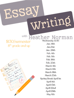 Essay Writing Class
