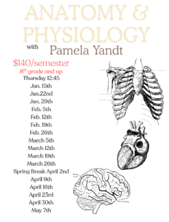 Anatomy and Physiology