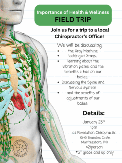 Health & Wellness Field Trip at Revolution Chiro